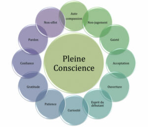 Plein conscience